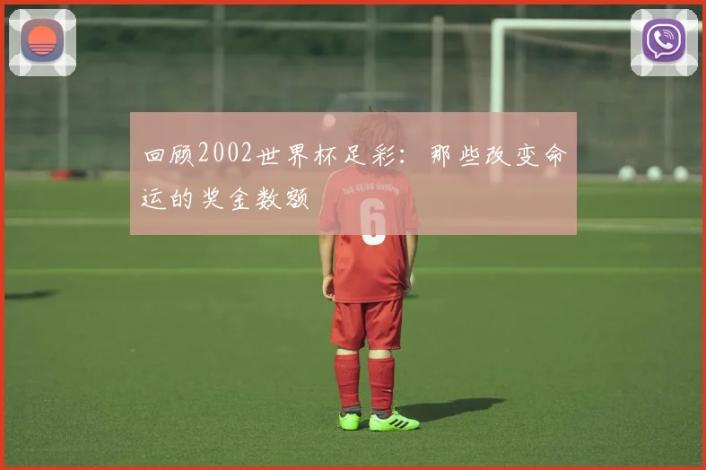 回顾2002世界杯足彩：那些改变命运的奖金数额
