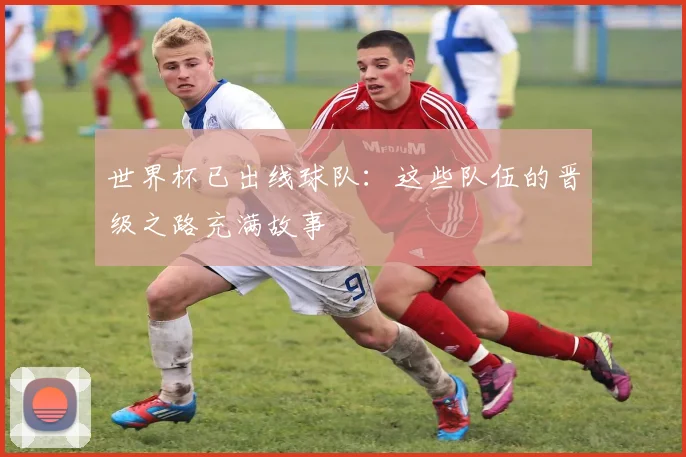 世界杯已出线球队：这些队伍的晋级之路充满故事