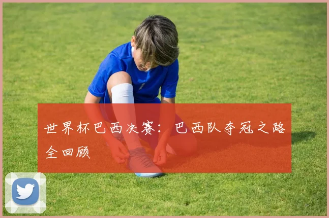世界杯巴西决赛：巴西队夺冠之路全回顾