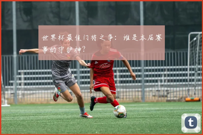 世界杯最佳门将之争：谁是本届赛事的守护神？