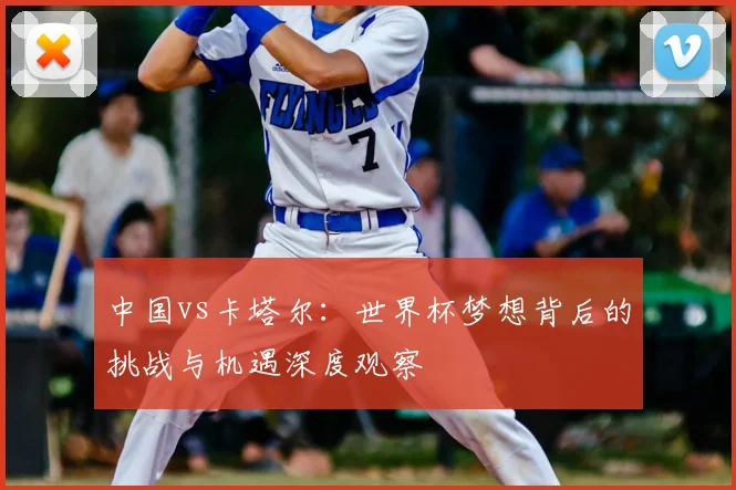 中国vs卡塔尔:世界杯梦想背后的挑战与机遇深度观察